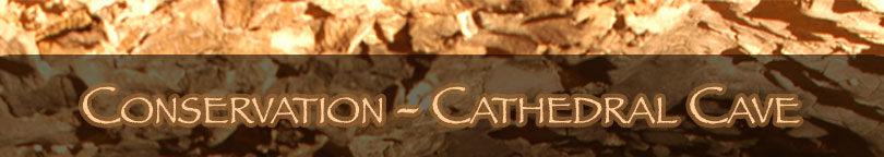 CaveLogo