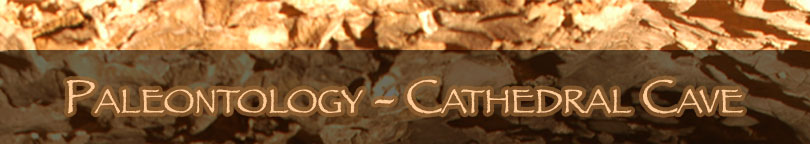 CaveLogo